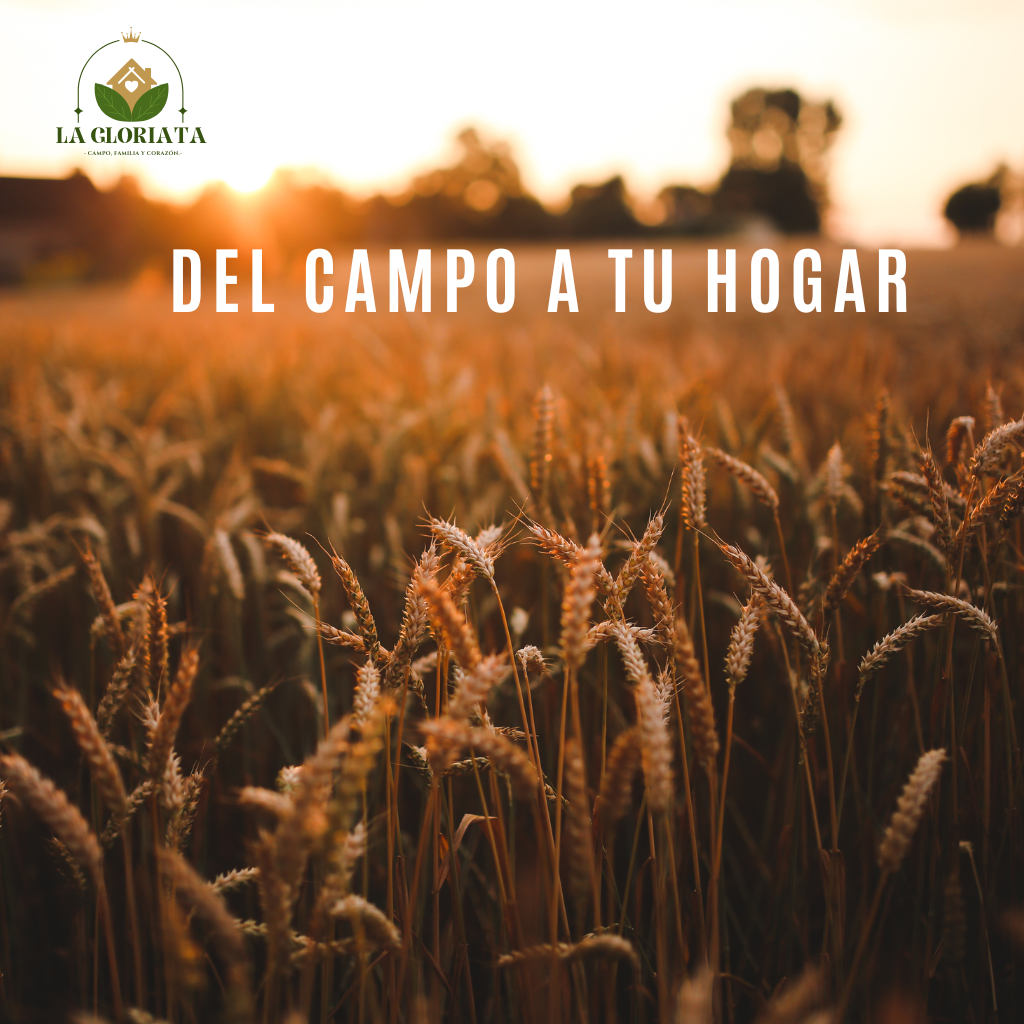 - Campo, familia y corazón.-